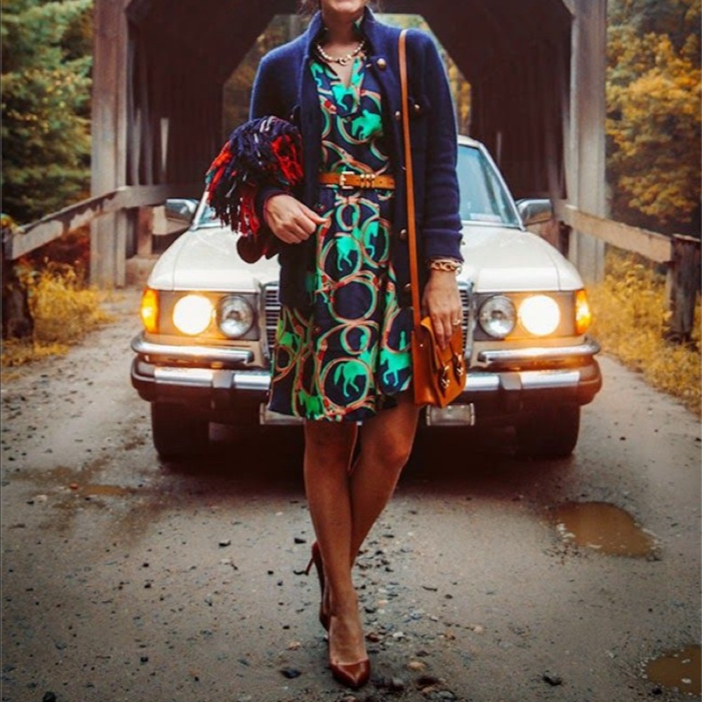 ISO: horse pattern dress